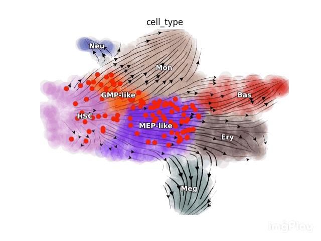 华人博士回国研究癌症,华人科学家nature论文