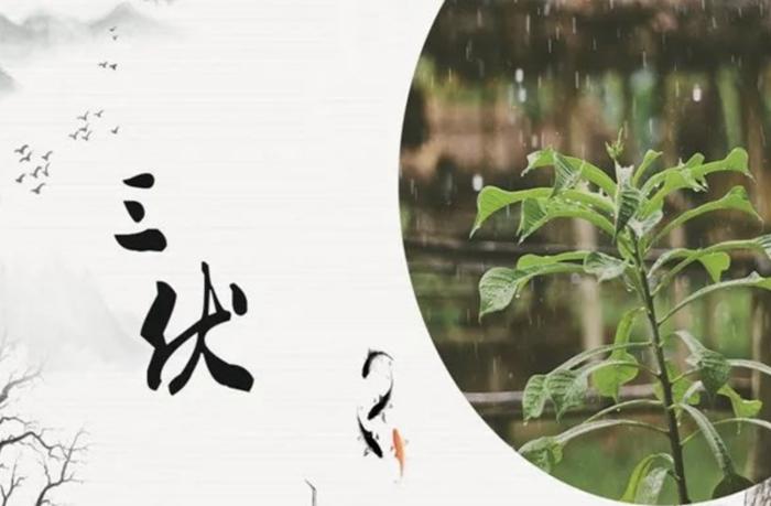 三伏天容易引发什么疾病,三伏天防病技巧