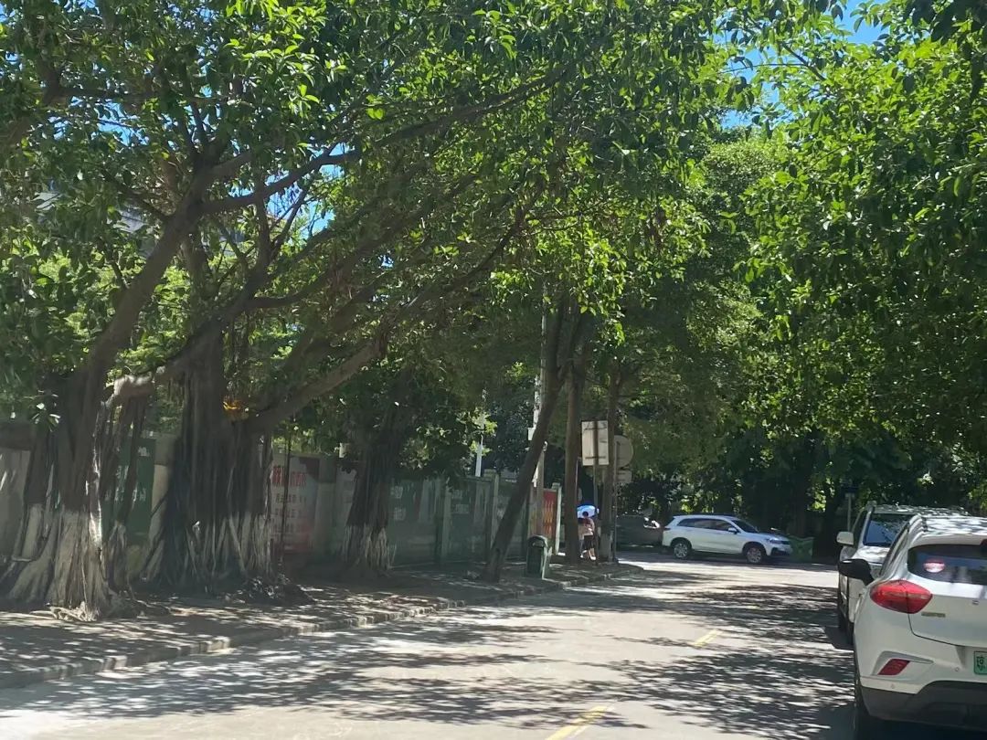 海口宇建城市花园建设近况,海口宇建城市花园房价