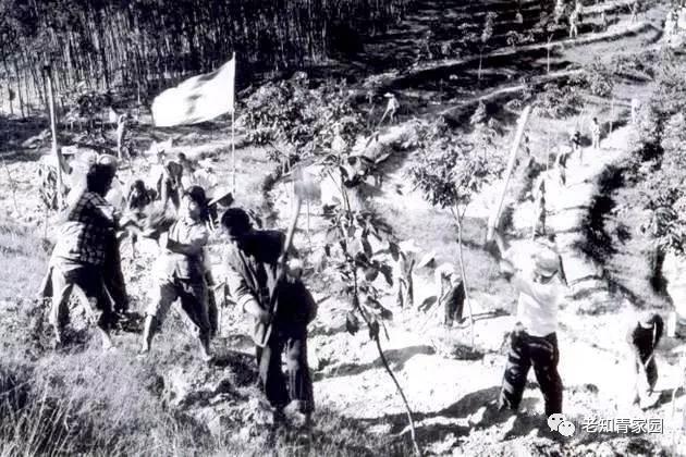 陈凯歌老照片大全集,陈凯歌的知青岁月