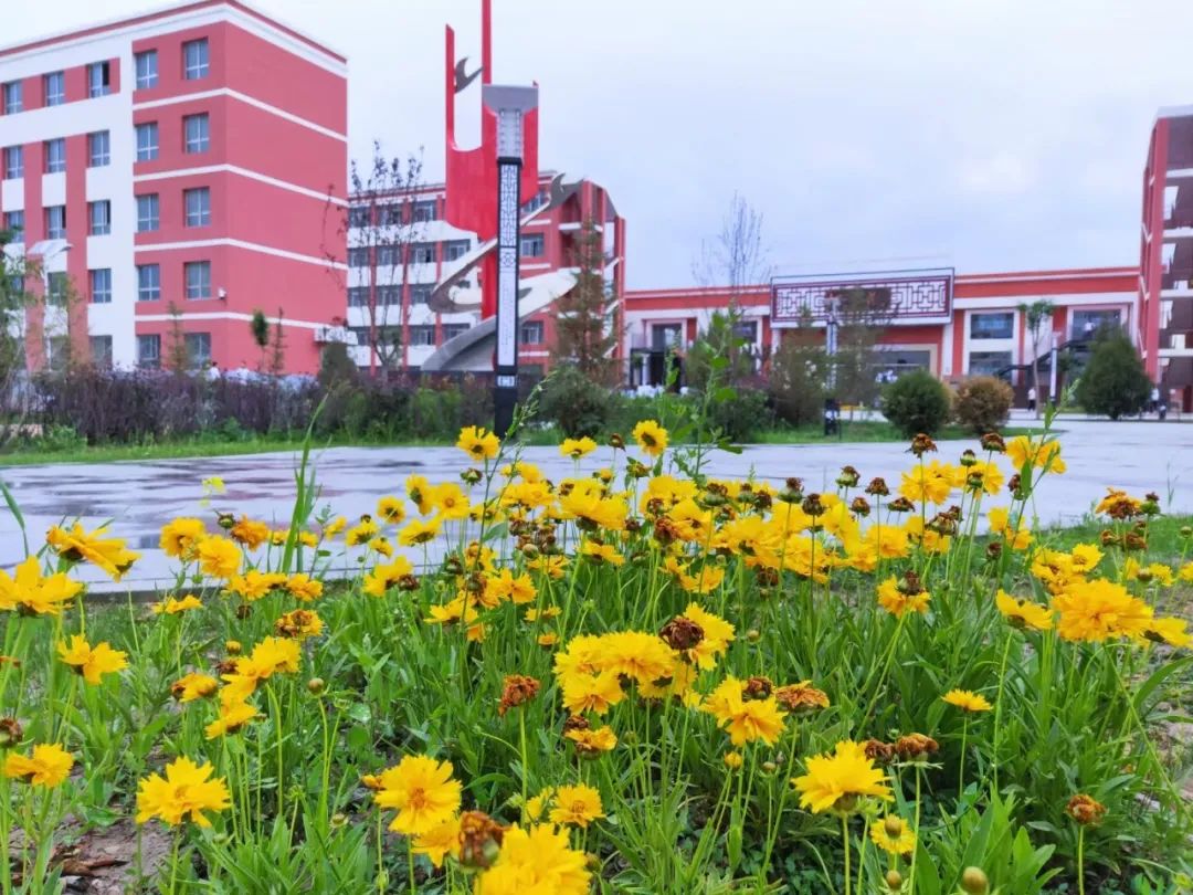 兰州市校园足球联赛高中,新区高级中学足球比赛