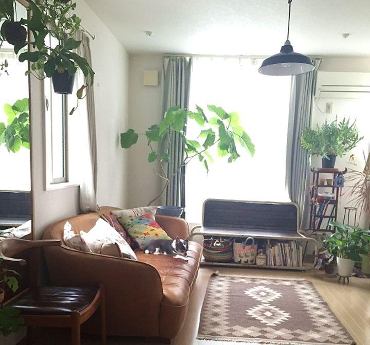 客厅不要电视机真实体验,小户型的客厅需要茶几吗