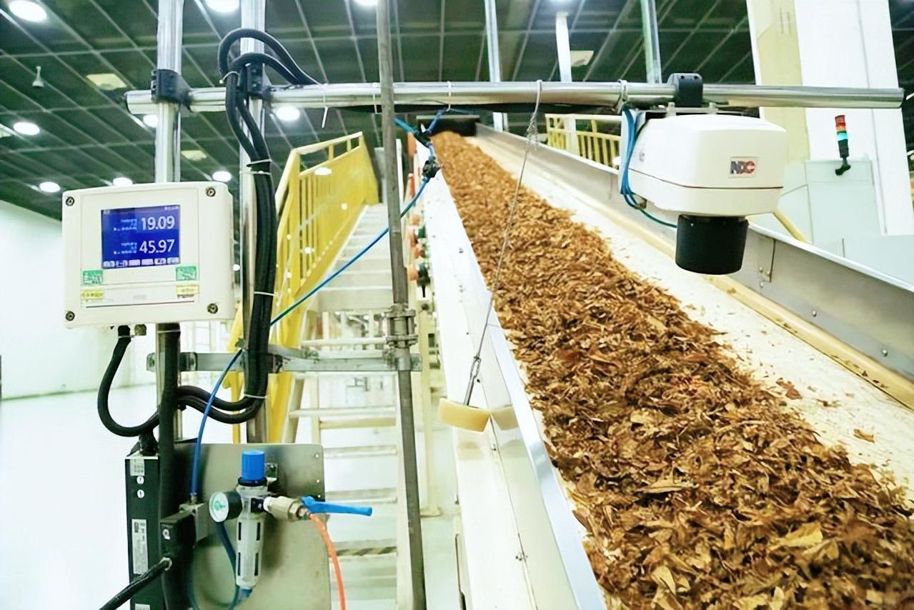 中华烟每年盈利,2022中国烟草一年亏损多少