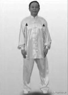 陈氏太极拳24式图解步骤,24式太极拳图解说明和要点