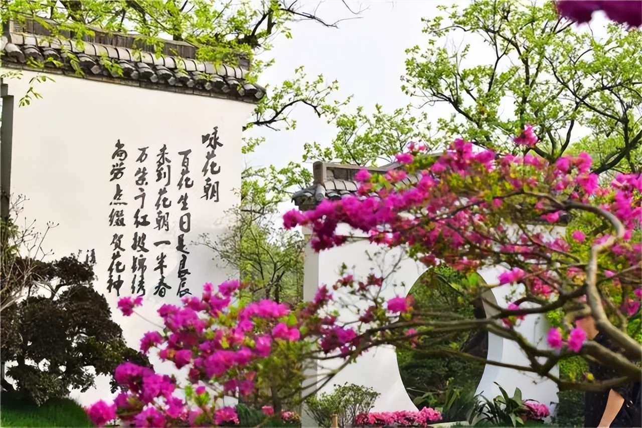 园林景观包括的项目,园林景观主题有哪些