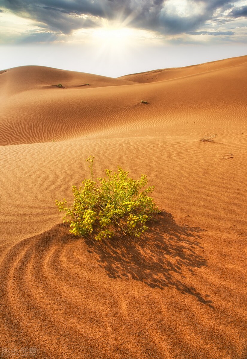 重建城墙诗歌简谱,讴歌党领导灾后重建的诗歌