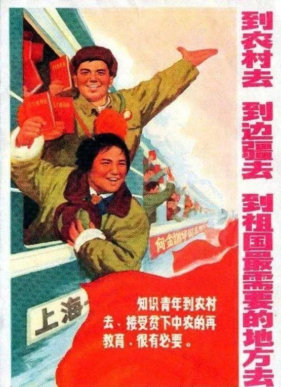 一位向中央上书，改变了千万名知青命运，帮助过万小刀的女知青