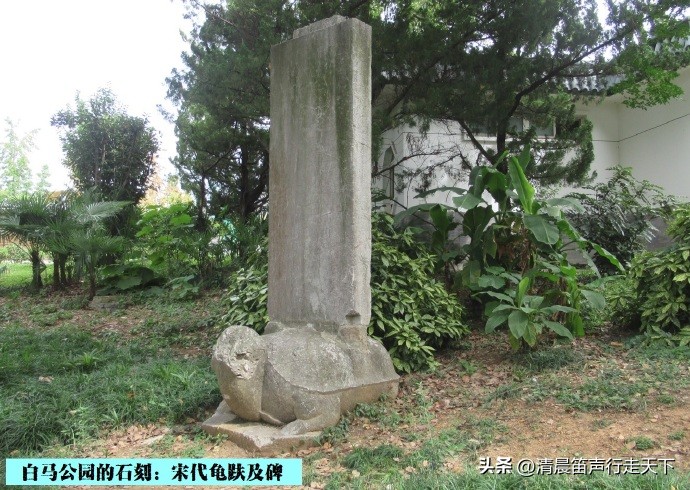 白马公园白马石刻朝代,公园石刻精品欣赏