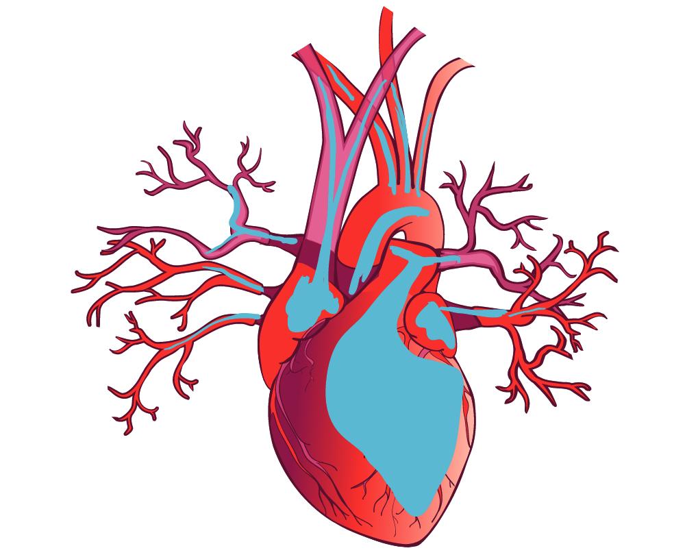 坐月子剪指甲会招风吗,月子里剪指甲有断子绝孙的说法吗