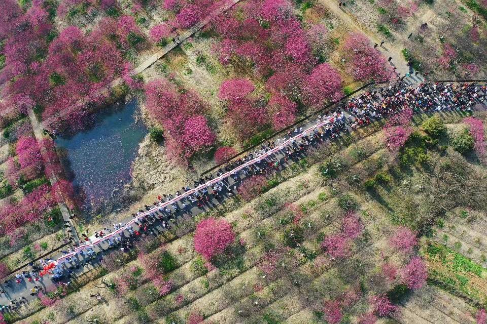 溧水今年有多少条龙灯,溧水龙灯