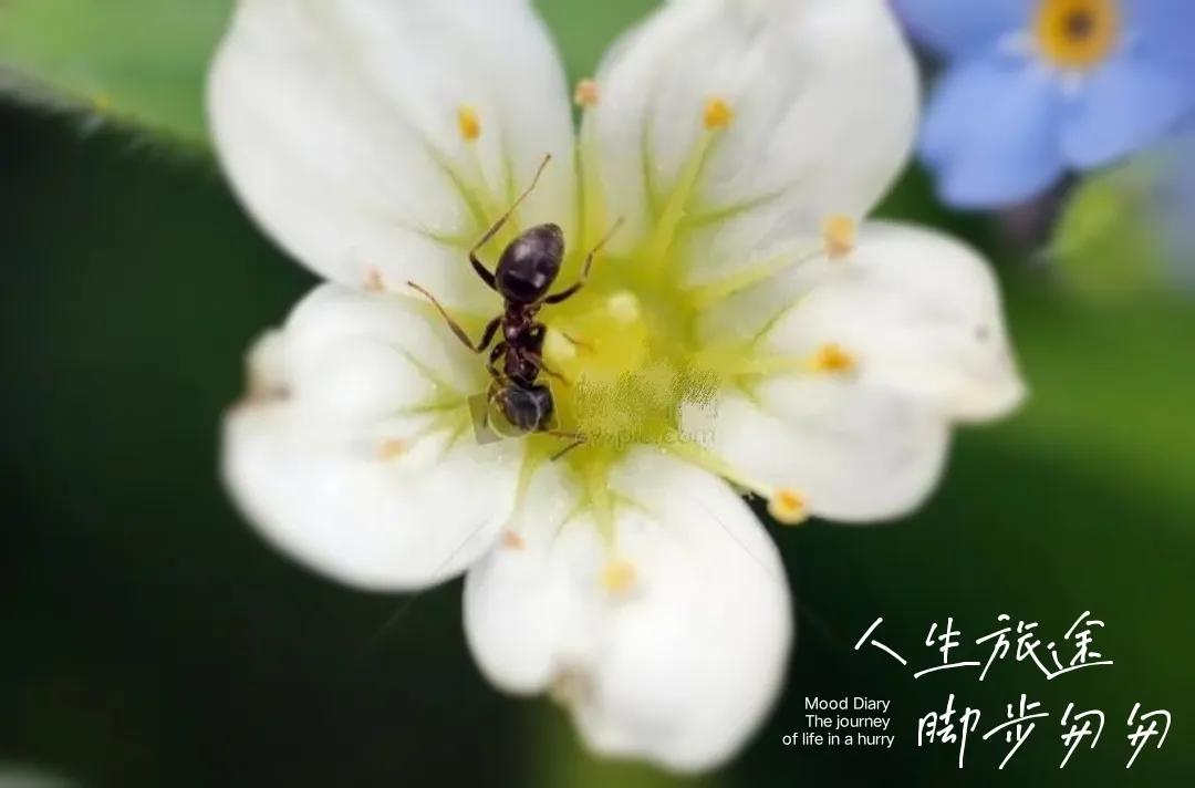 新手发现9：我眼里的头条号百度号企鹅号网易号搜狐号2022