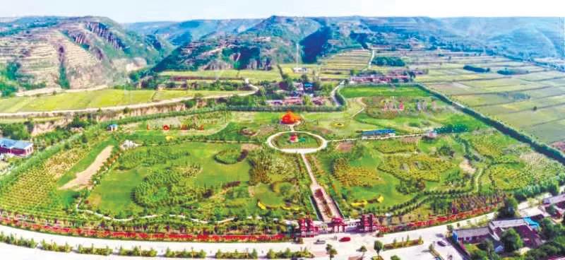 樊晓敏深圳,樊晓敏作者简介