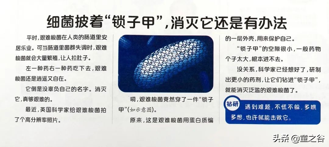 国内第一份新闻故事报,小学生也能轻松读懂时事热点