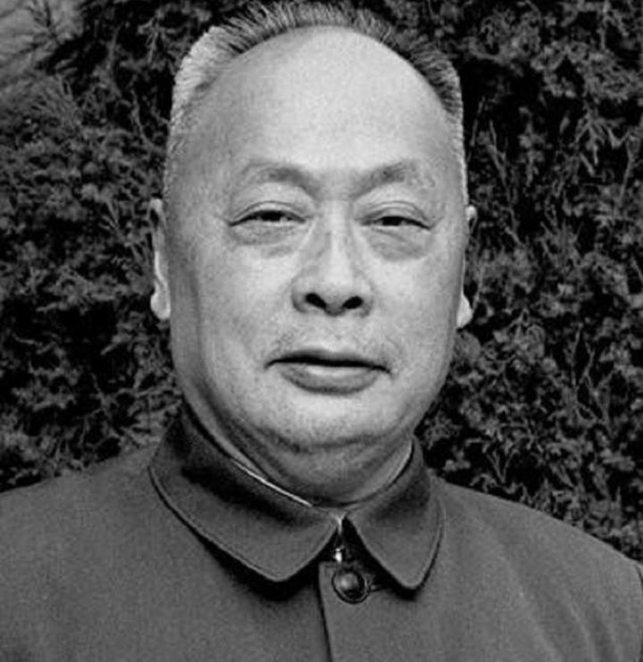 陈毅之子陈小鲁：岳父是开国大将，妻子了不起军衔比丈夫还高一级