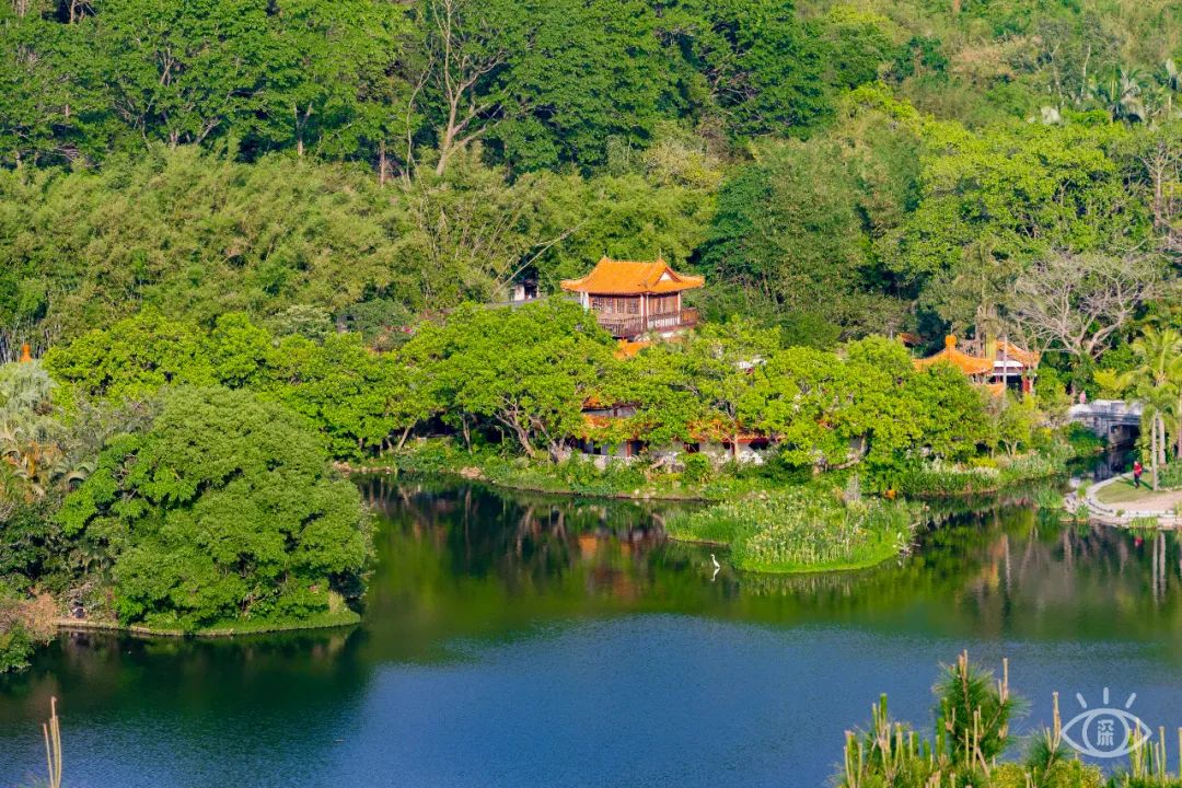 深圳一日游必去的地方,深圳吃货必去的地方