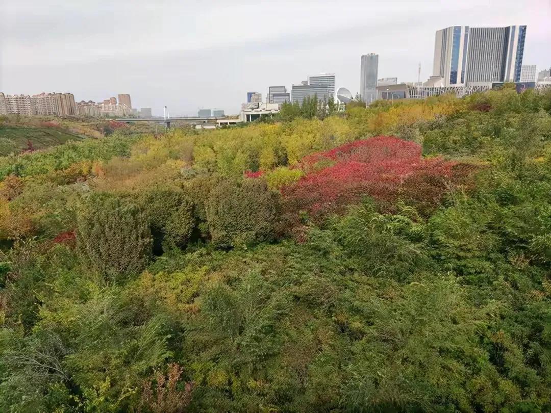 乌鲁木齐2020年十大公园,乌鲁木齐公园数量