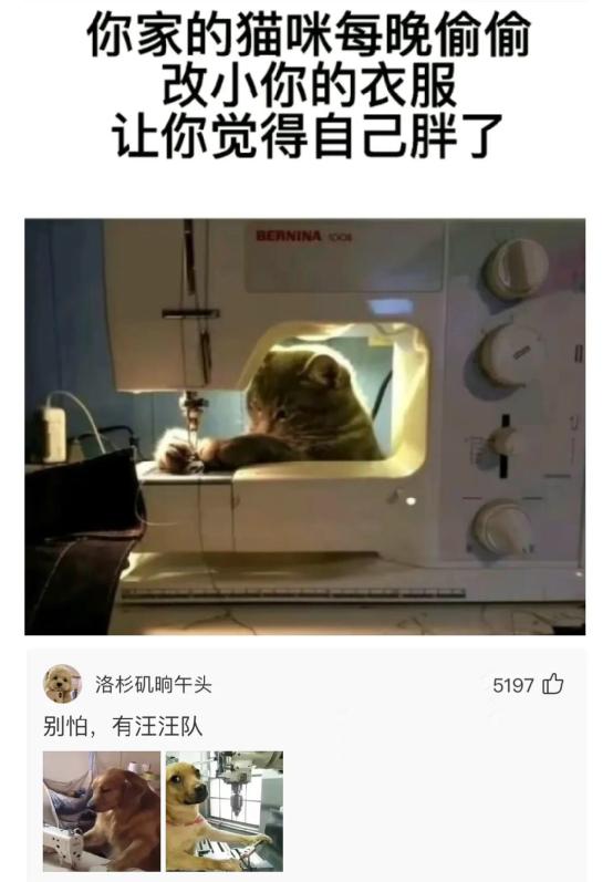 神回复女朋友高情商,神回复女朋友不听话