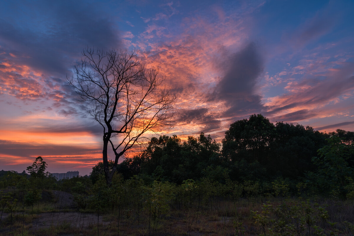小小说:别拿大学生村官不当干部