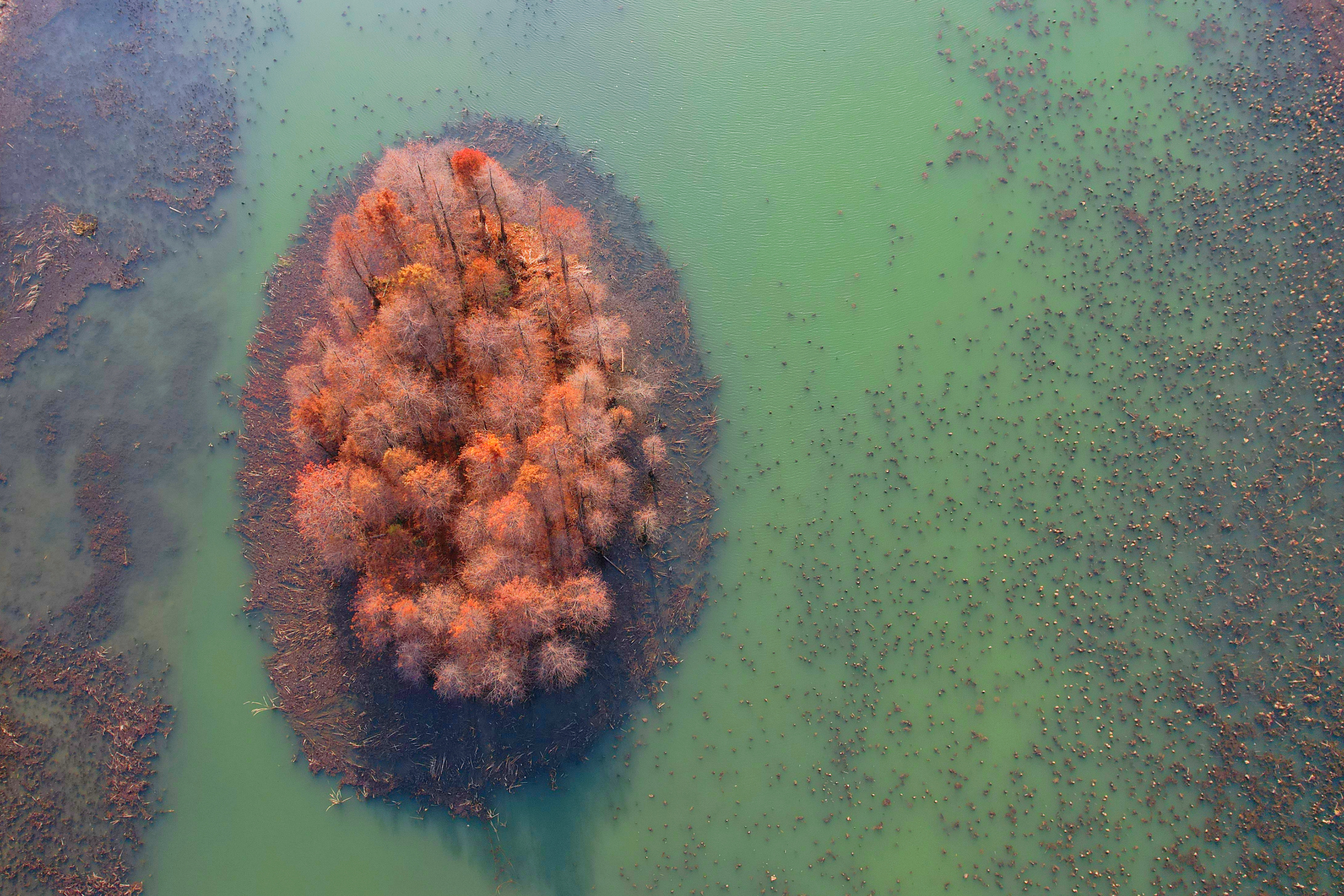 苏州东太湖游玩攻略,新年苏州旅游攻略三天两夜