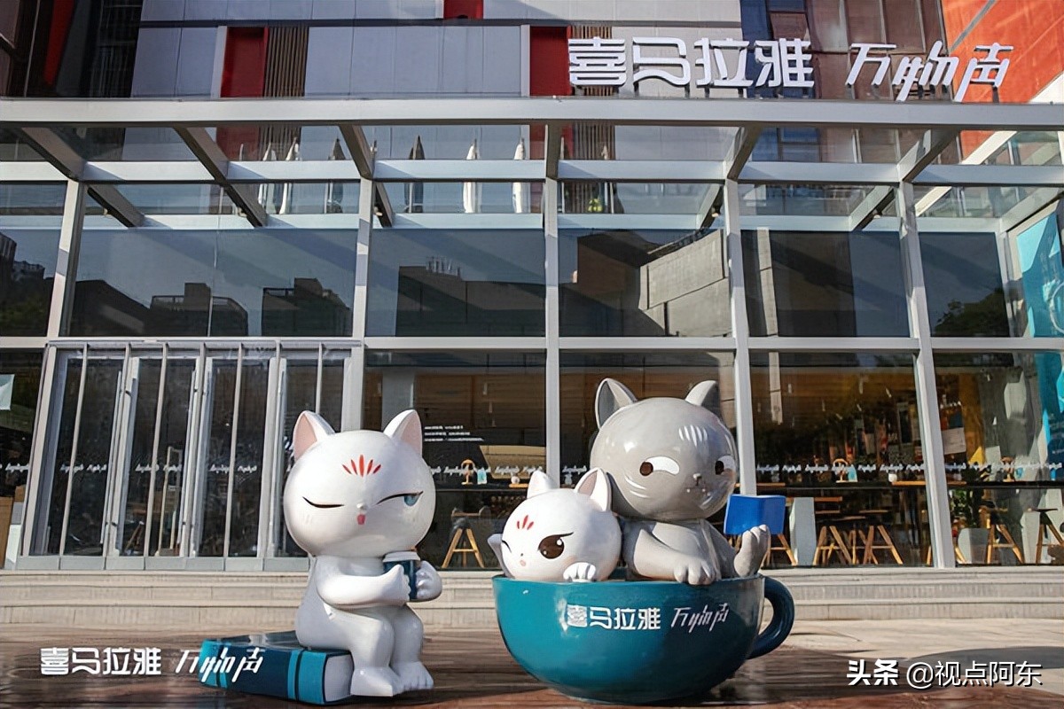 打卡西高新网红书店，常读书是人生精进最低的投资