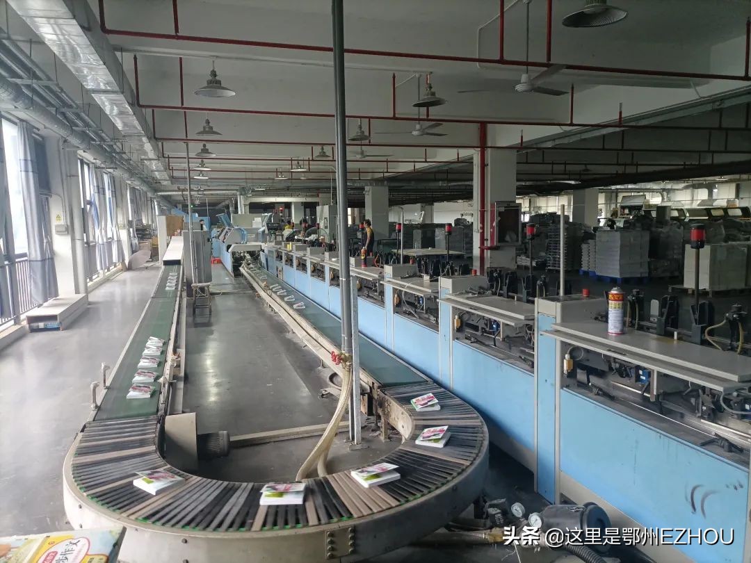 鄂州女强人,深圳拼下上亿身家