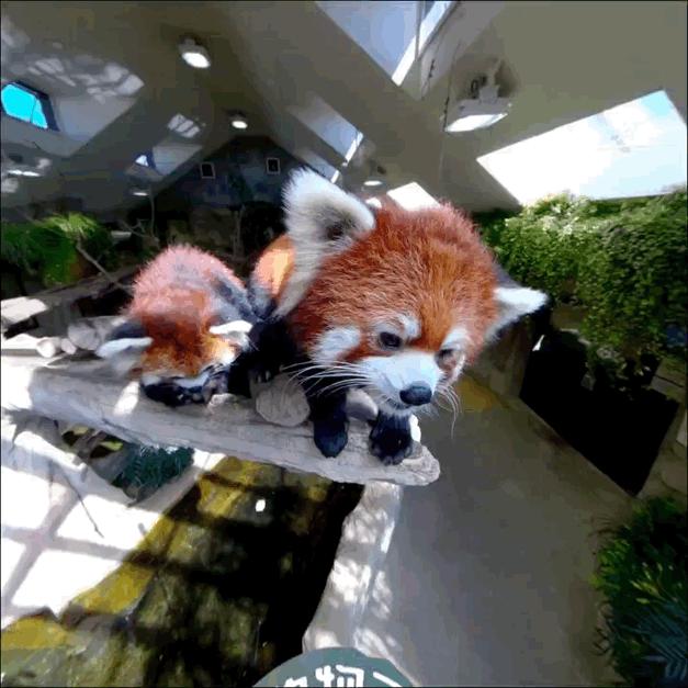 观看vr体验感受心得,看世界杯vr