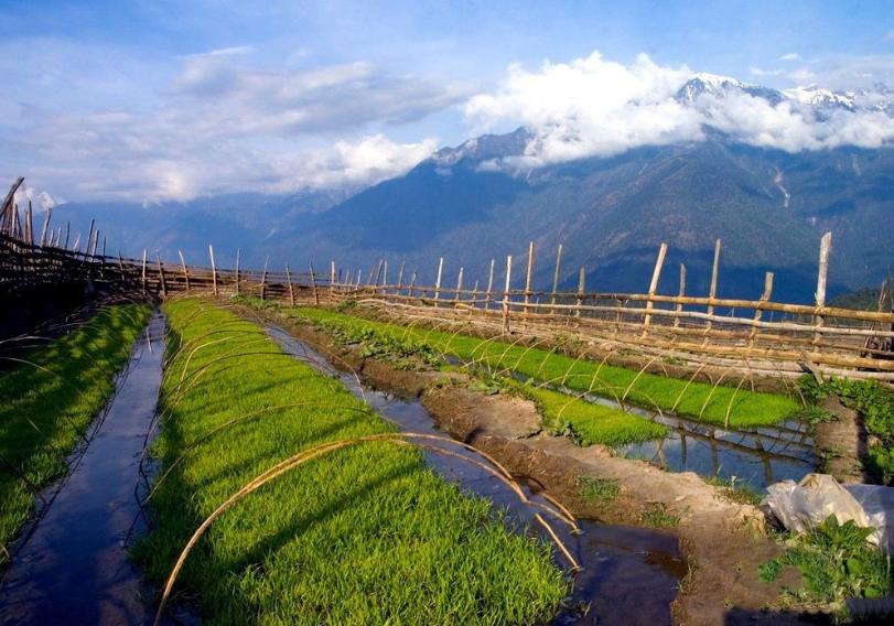 农业扶贫的正确方式,农业技术方面对扶贫的帮助