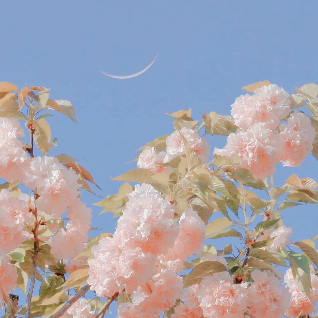 土星换座这三年对星座的影响大吗,土星换座是什么星座