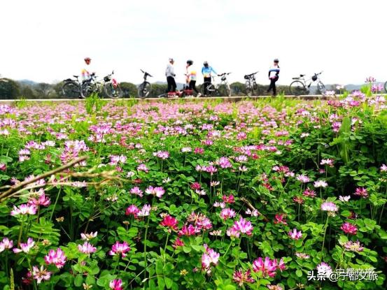 江西赣州宁都美景,江西宁都景色