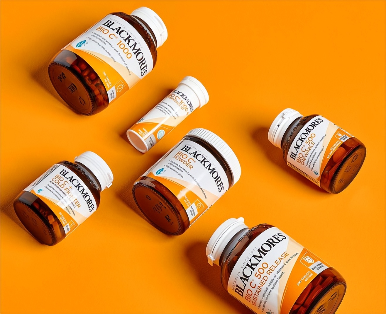 斯凯奇与爱马仕,斯凯奇爱马仕