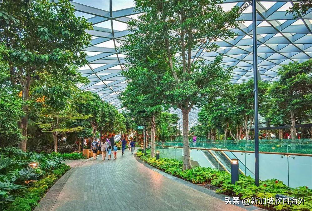 新加坡世界之最排名,新加坡发展成为亚洲四小龙的原因