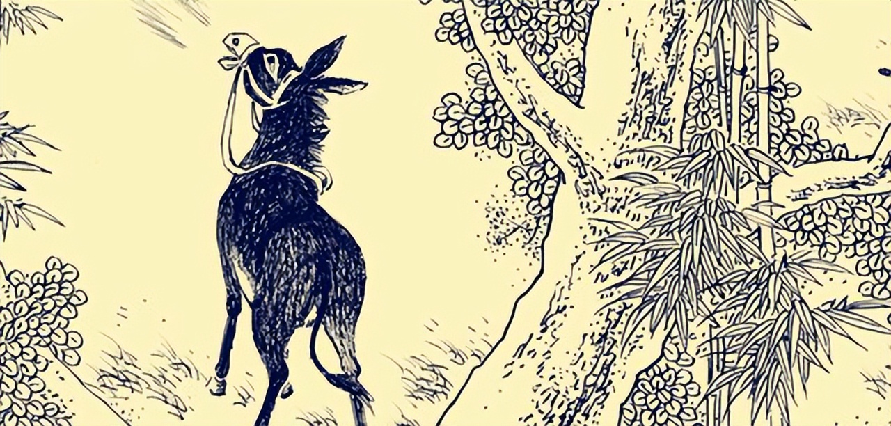 民间故事：儿媳半夜打毛驴，婆婆心中起疑，暗中观察发现一桩*案惨**