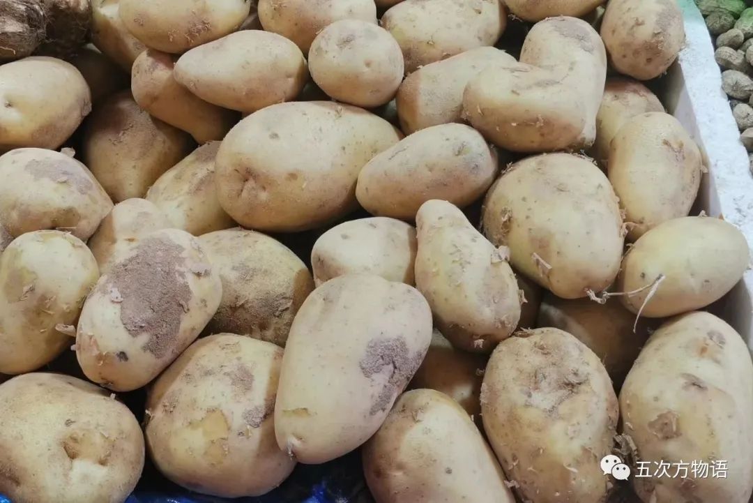 茎菜类蔬菜大全，你全吃过吗？