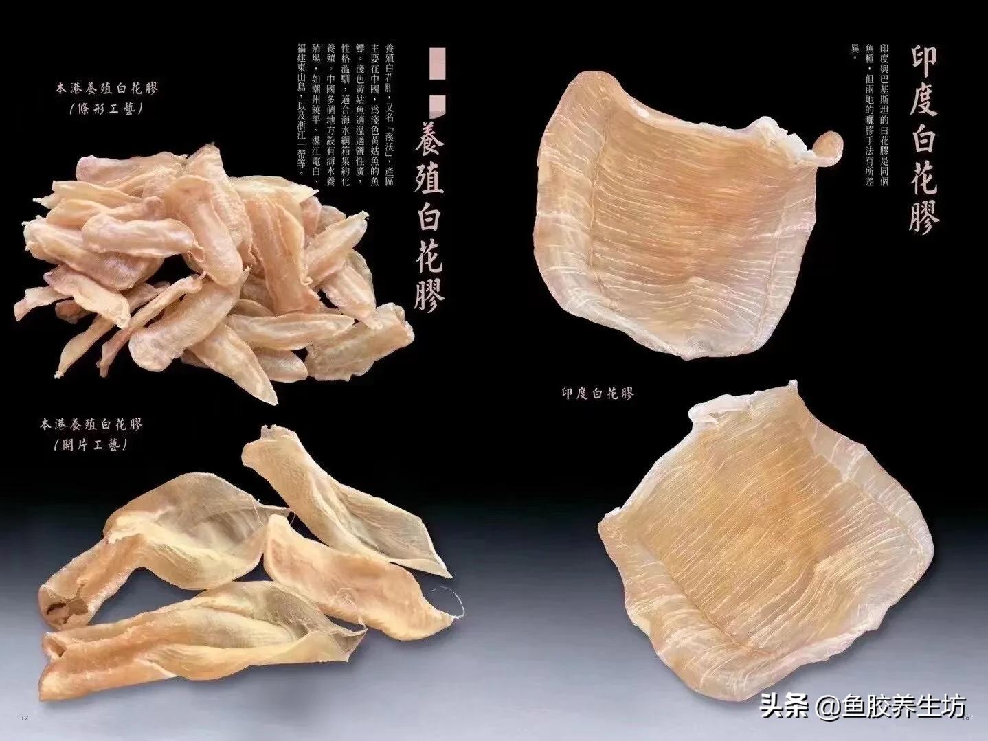 白花胶视频大全,白花胶的使用方法视频