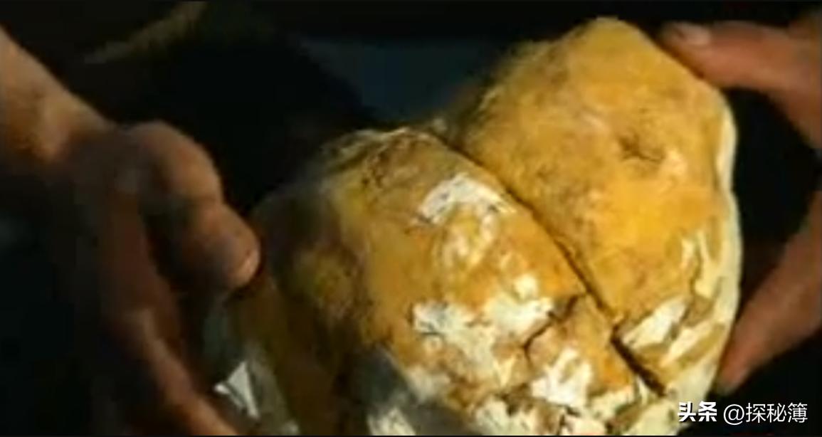 云南男子买到头怪牛，不吃不喝，肚里还长个大肉球，不料价值百万