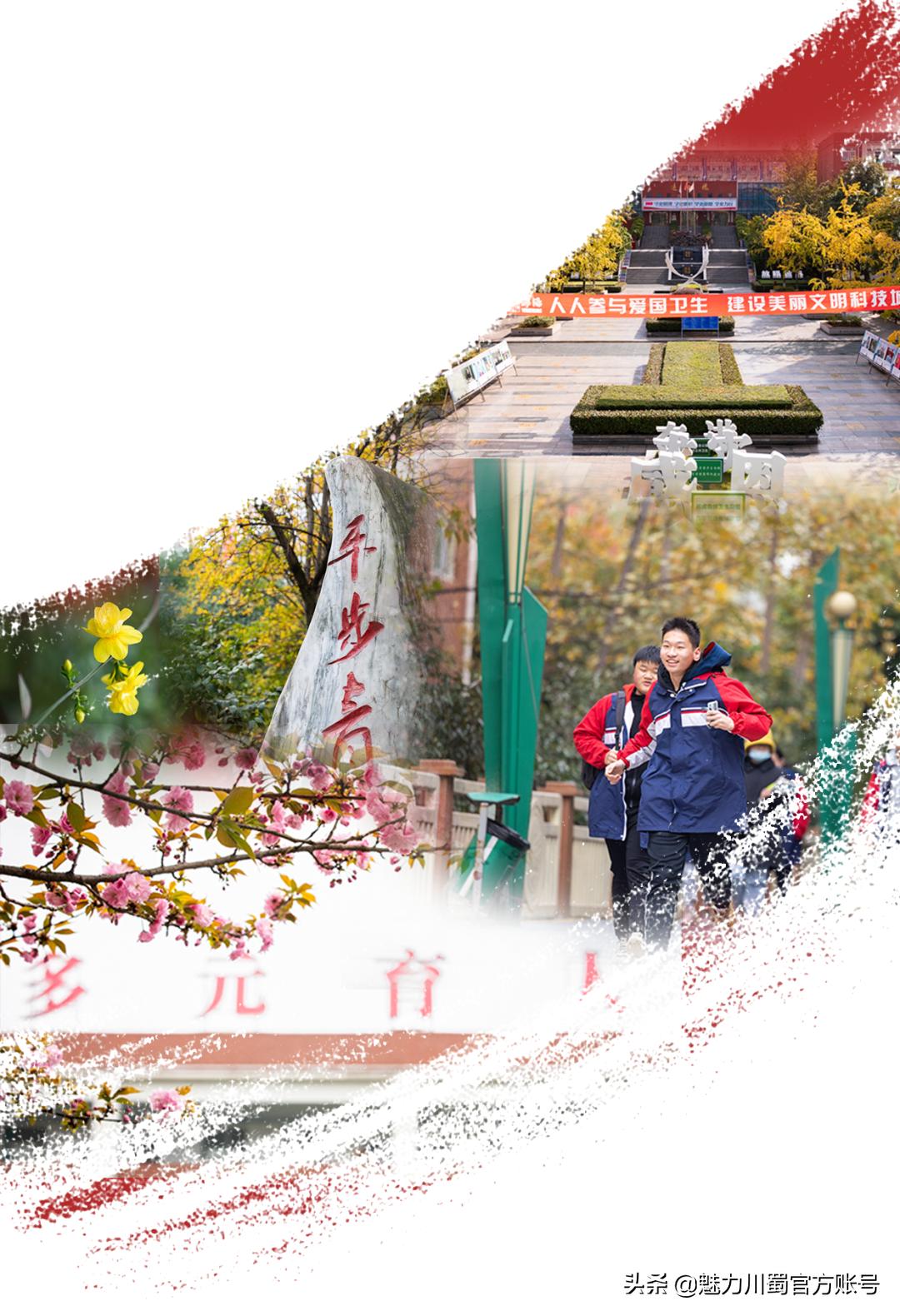 代码009，与未来快乐邂逅丨@中考学子，这里是绵阳中学实验学校