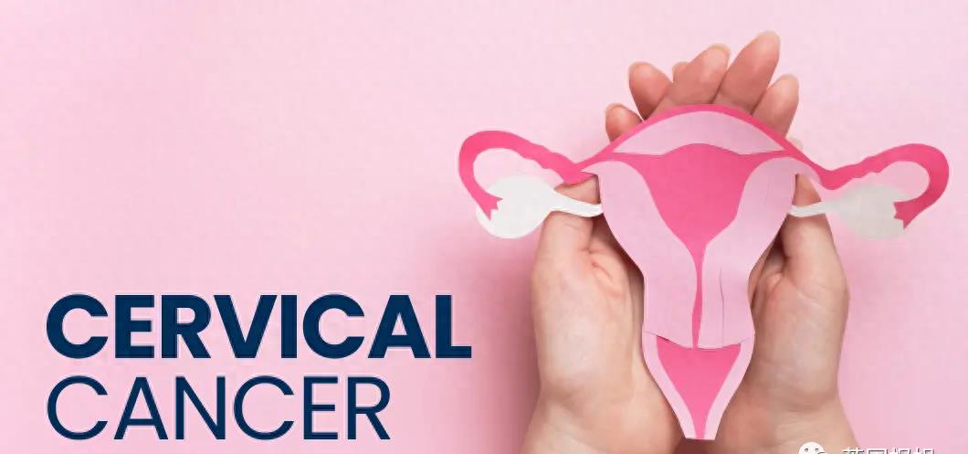 世界十大最美已去世的女人,世界上最漂亮的女孩去世