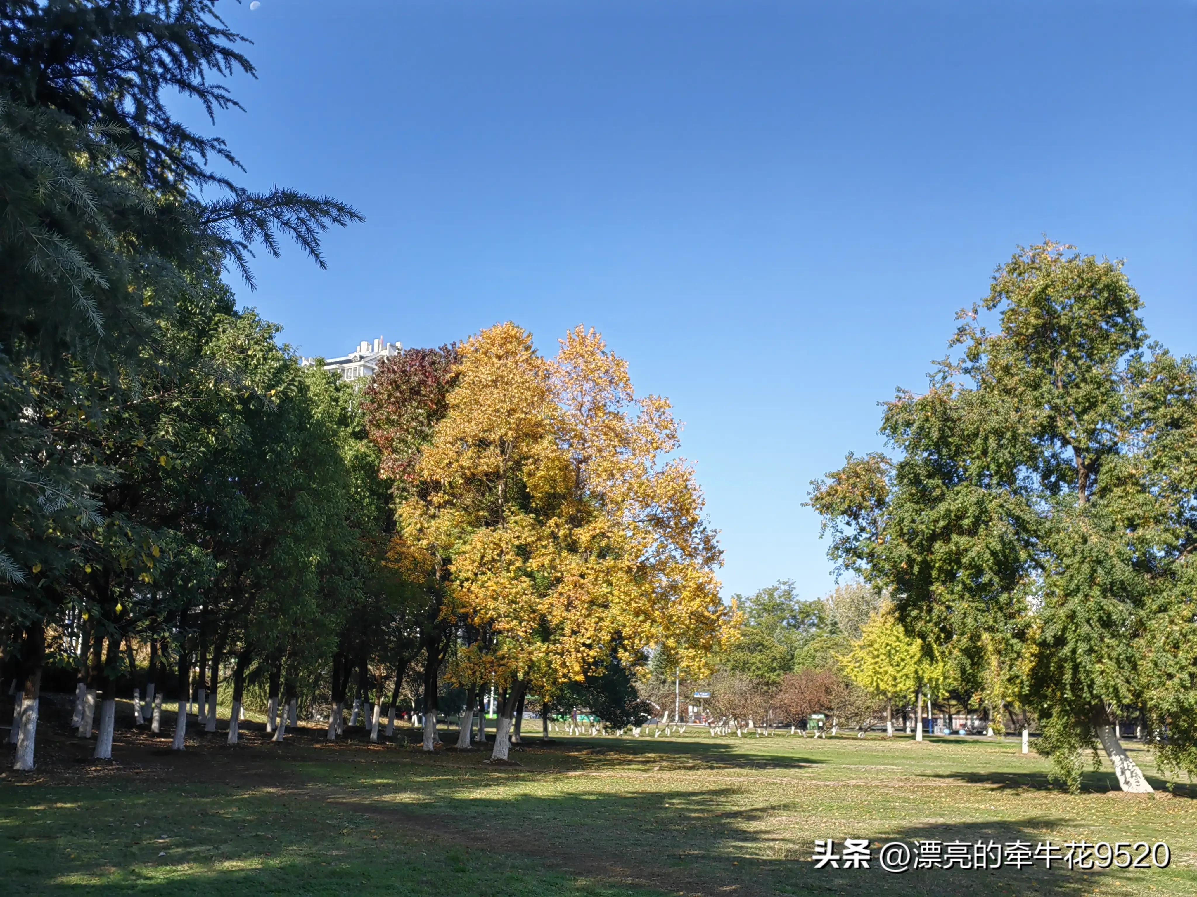 六安月亮岛的风景春夏秋冬,六安月亮岛夕阳美景