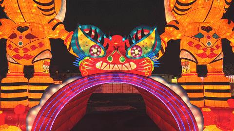 华灯盛景冰雪季“燃”动车谷最“靓”中国年