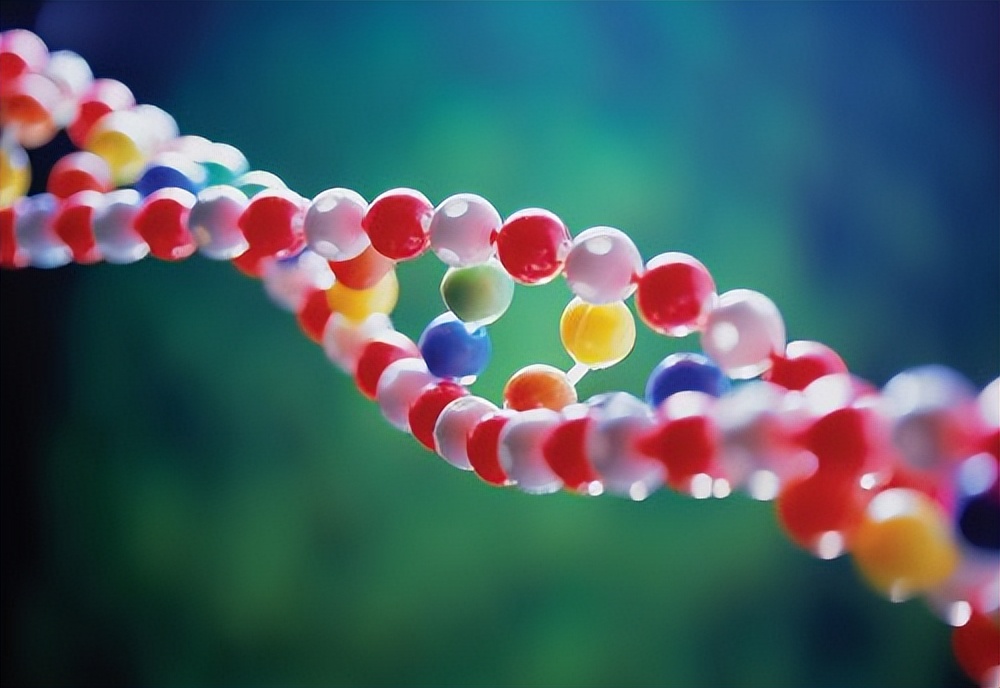 pcr检测基因,核酸检测pcr检测操作视频