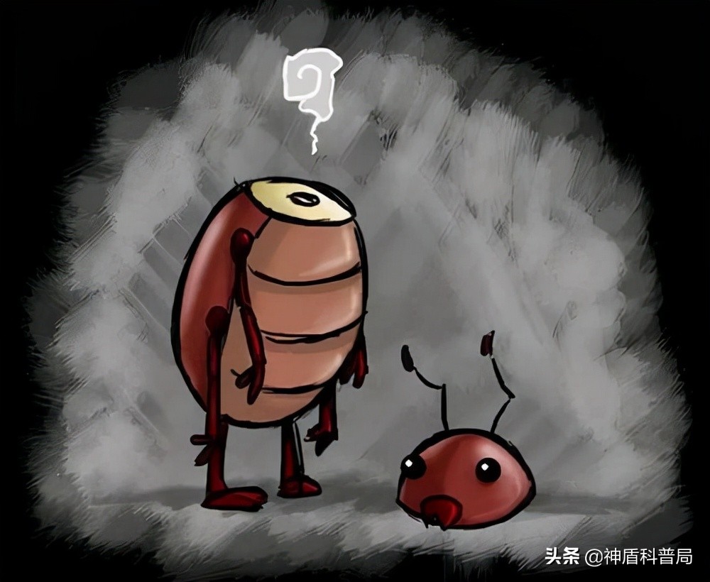 明明蟑螂爬到身上就不见了,有人把蟑螂给踩死了