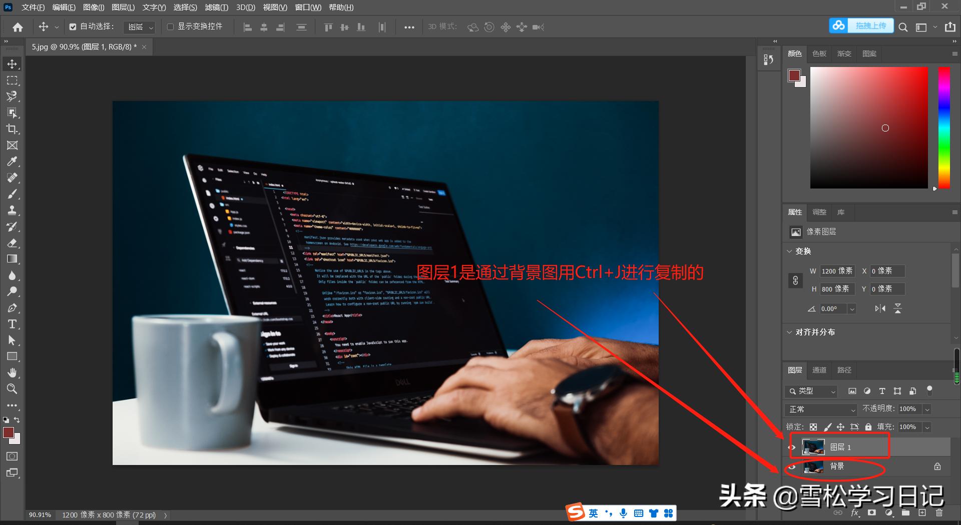 ps零基础图层入门教程,ps入门教程从零开始学图层