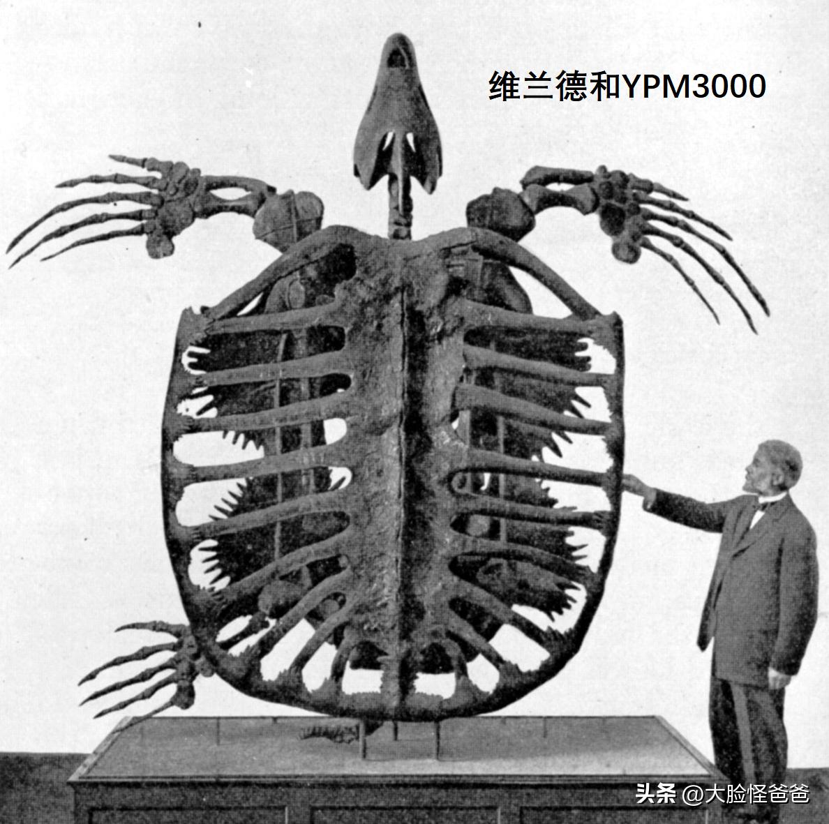 上古十大神奇的传说,真正的上古神话