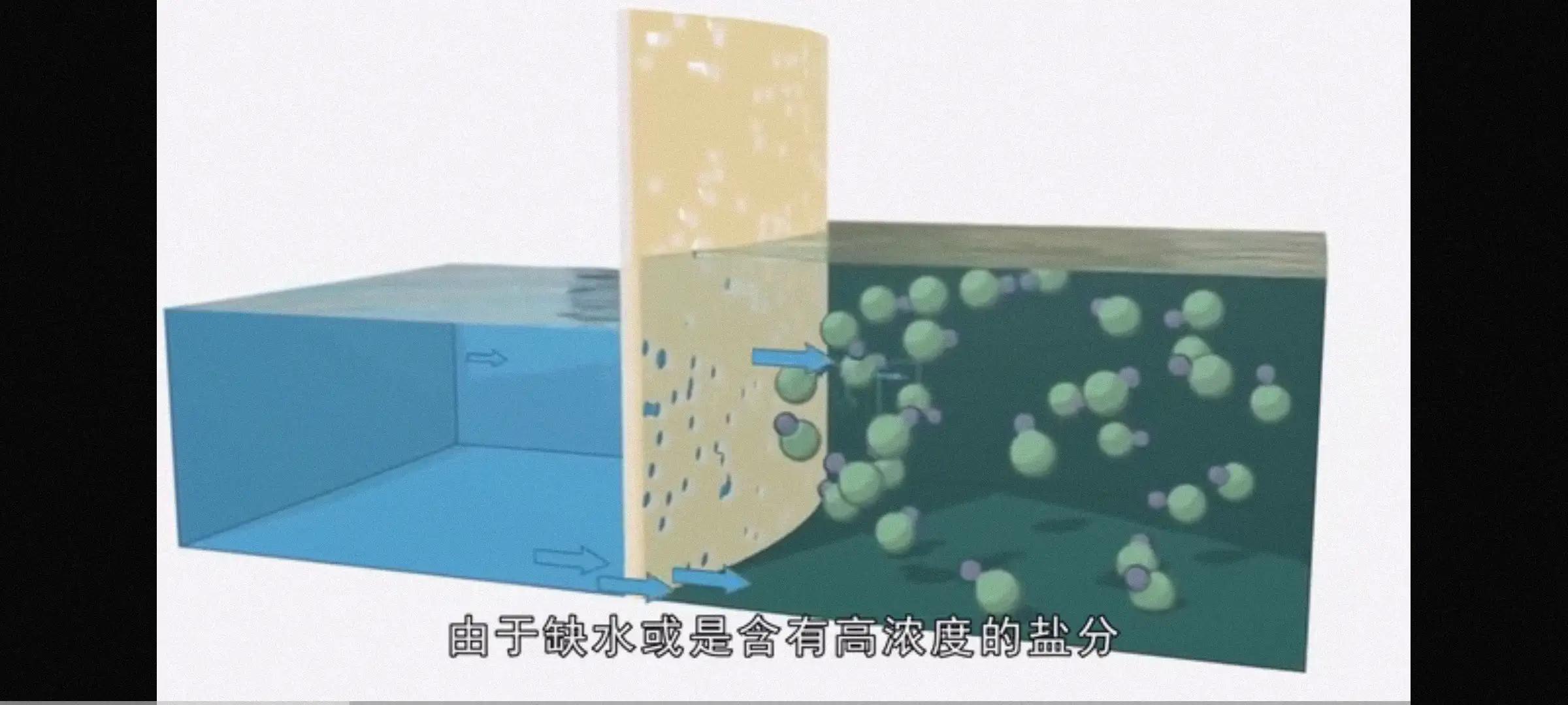 碰了非洲大蜗牛得了脑膜炎有救吗,摸蜗牛的壳会得脑膜炎吗