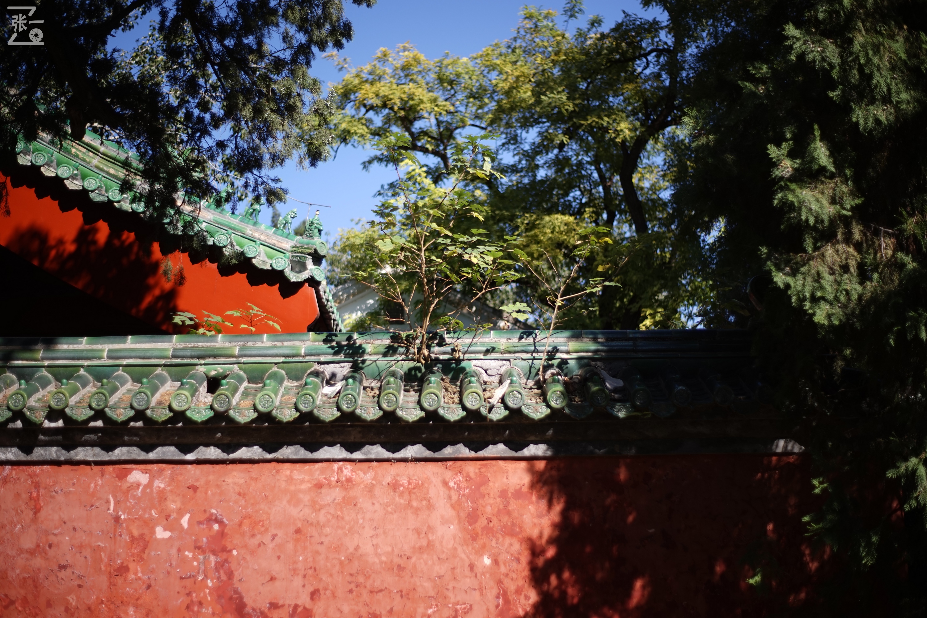 老镜头实拍,老镜头拍北京