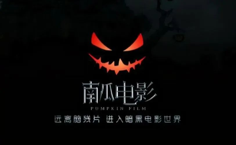 儒意影业有前景吗,儒意影业增收任务