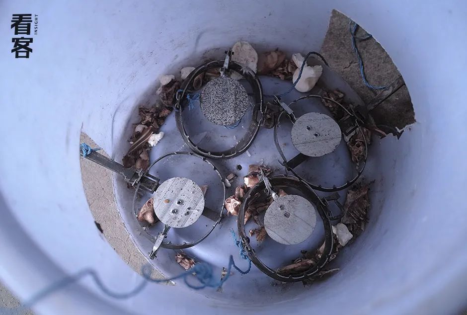 我在贞观搞科学小说最新章节,我在修仙世界搞科学