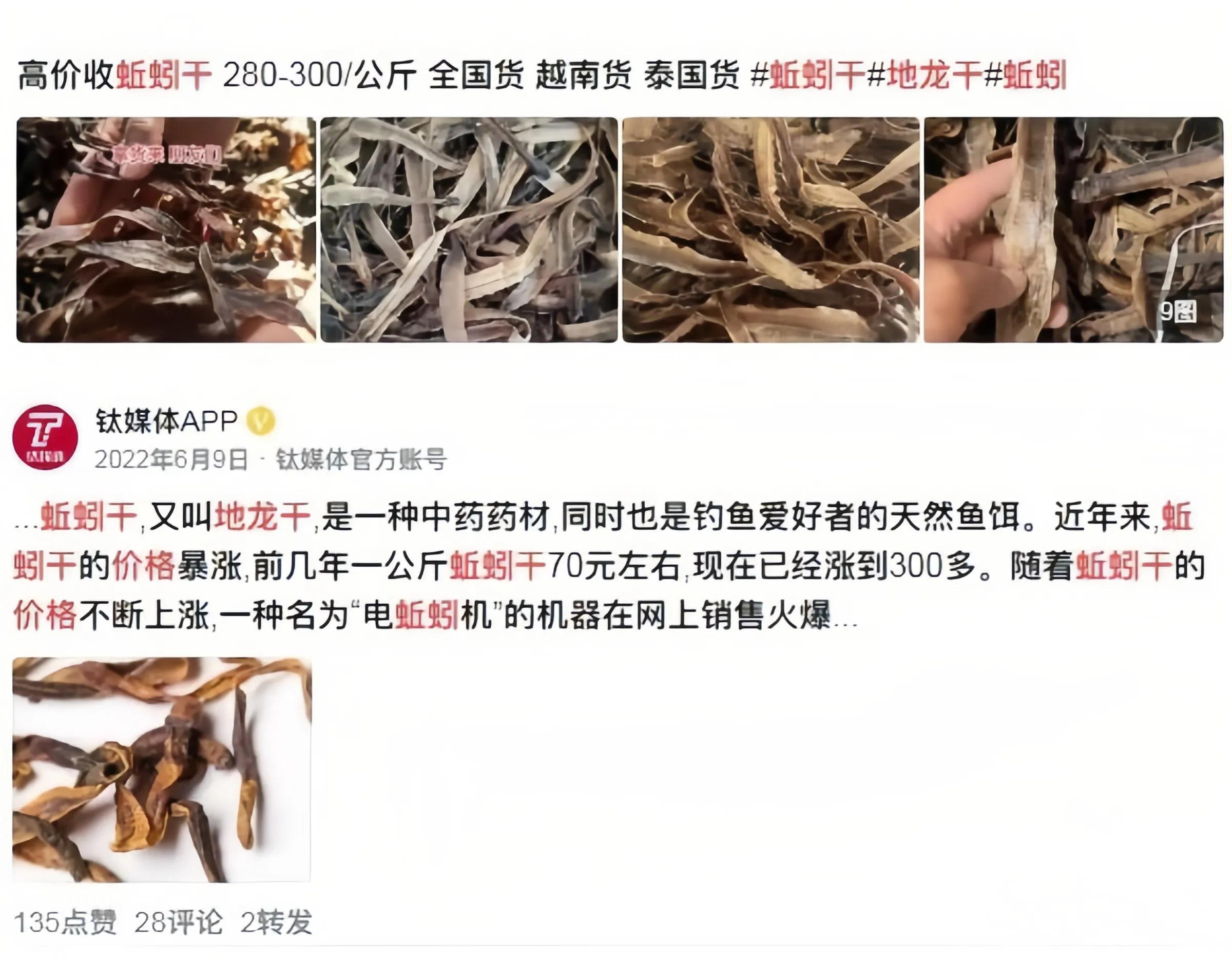 农村大叔种植50亩地年收入30万,一小伙承包几十亩地种菜年挣百万