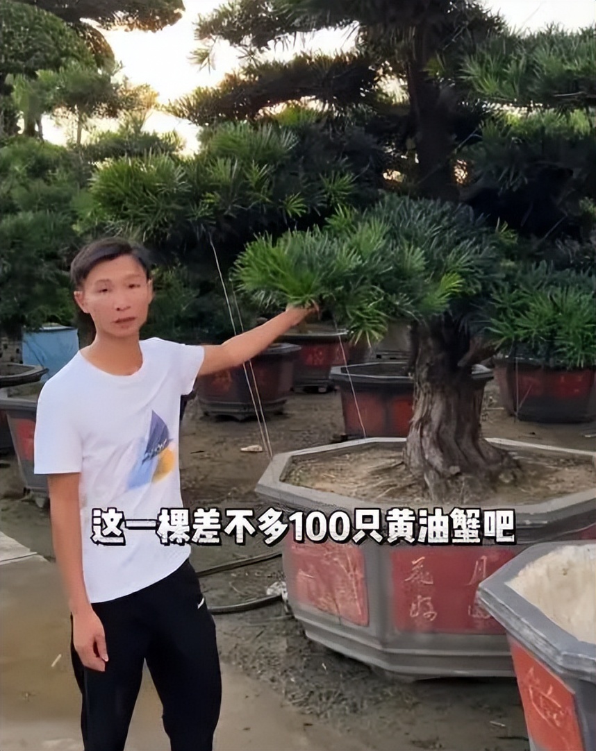 拿海鲜喂鸡、20秒36万进账，网红这一职业，真就“钱”途无量？