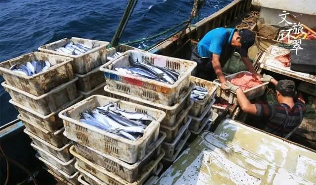哪种海鲜的味道最鲜美,最鲜美最好吃的海鲜大餐